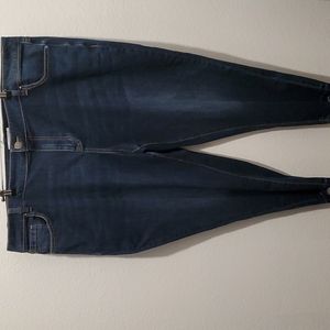 Lane Bryant mid-rise boyfriend capri 20